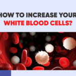 How To Increase Your White Blood Cells?