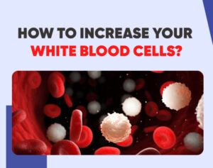 Read more about the article How To Increase Your White Blood Cells?